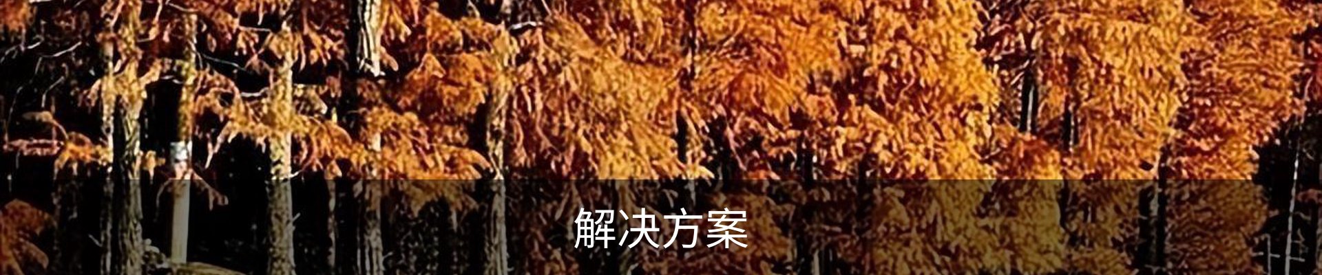 解决方案